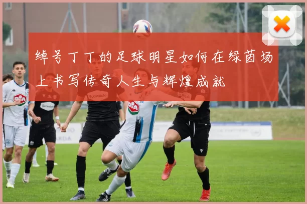 绰号丁丁的足球明星如何在绿茵场上书写传奇人生与辉煌成就