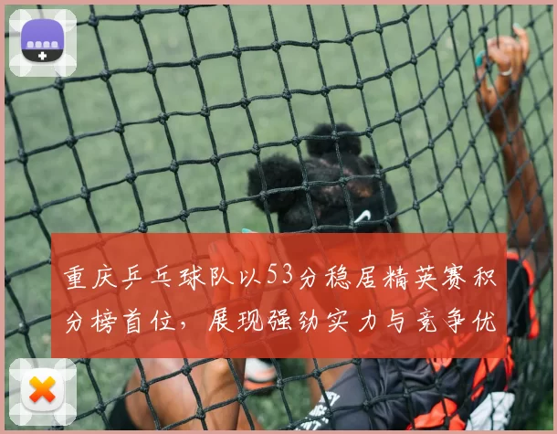 重庆乒乓球队以53分稳居精英赛积分榜首位，展现强劲实力与竞争优势