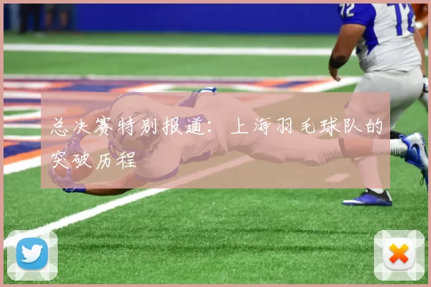 总决赛特别报道：上海羽毛球队的突破历程