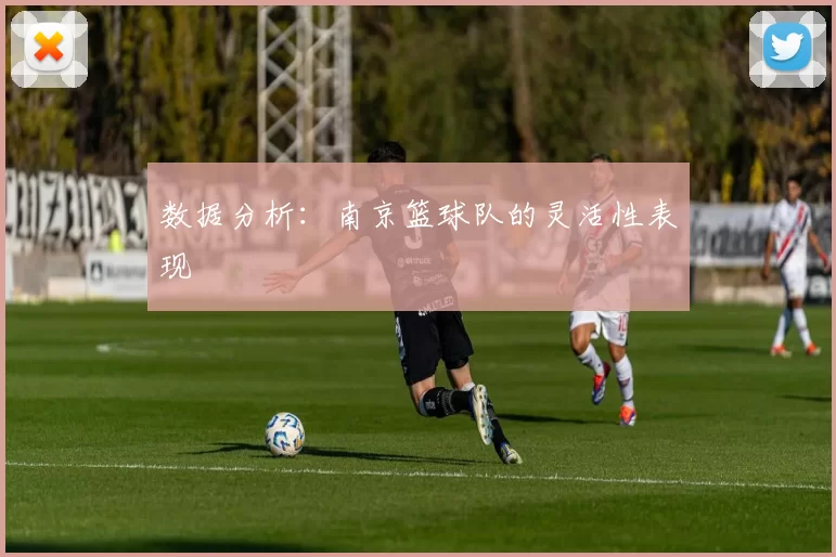 数据分析：南京篮球队的灵活性表现
