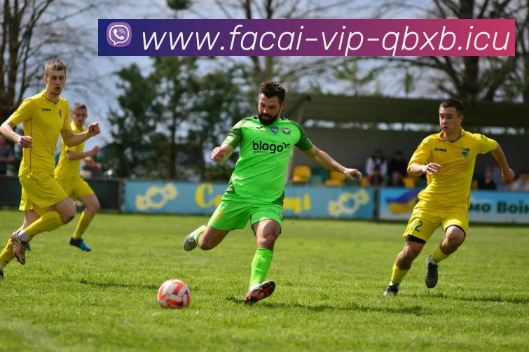 爱游戏体育品牌故事