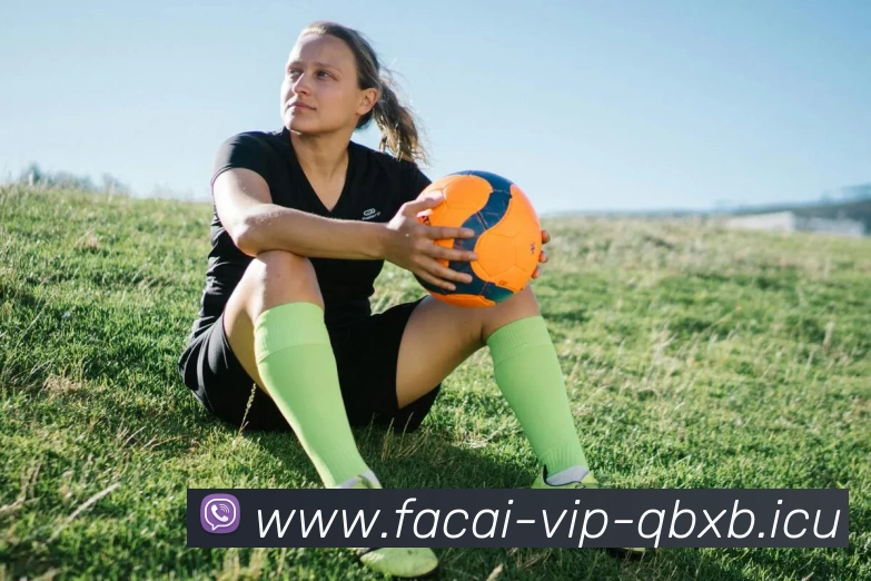 爱游戏体育服务体系